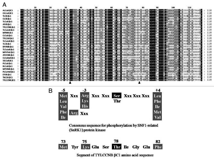 graphic file with name psb-7-888-g1.jpg