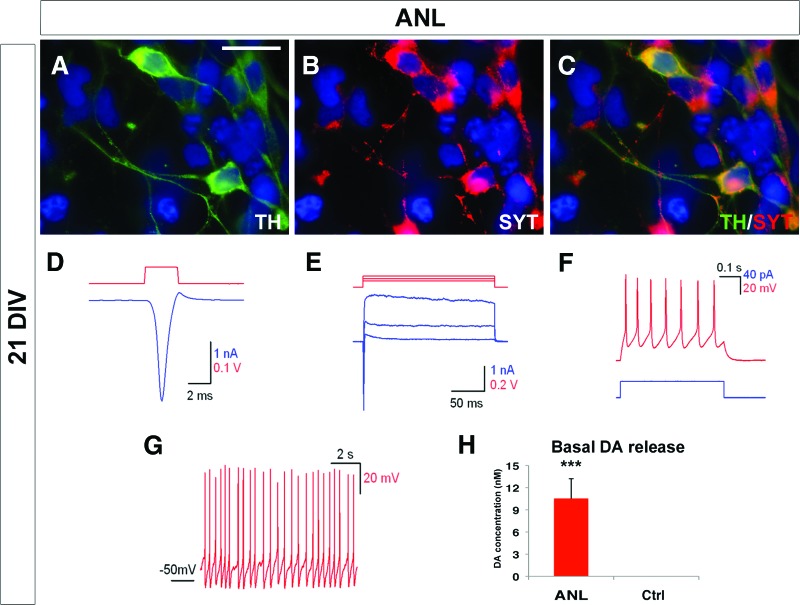 Figure 3.