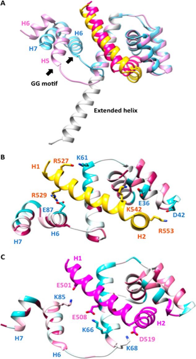 Figure 5.