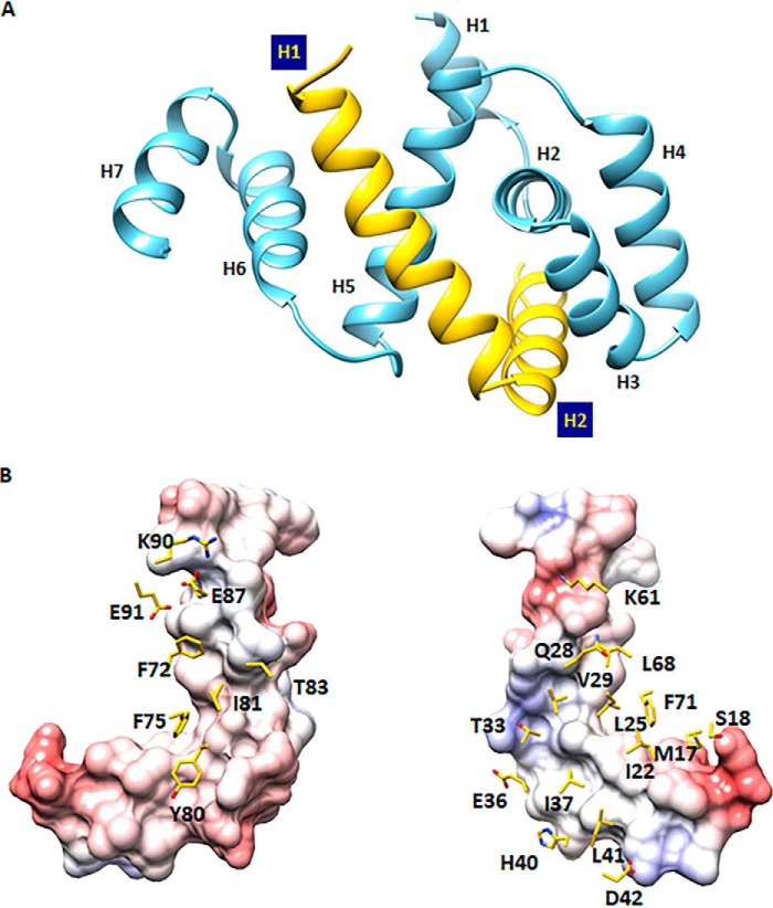 Figure 2.