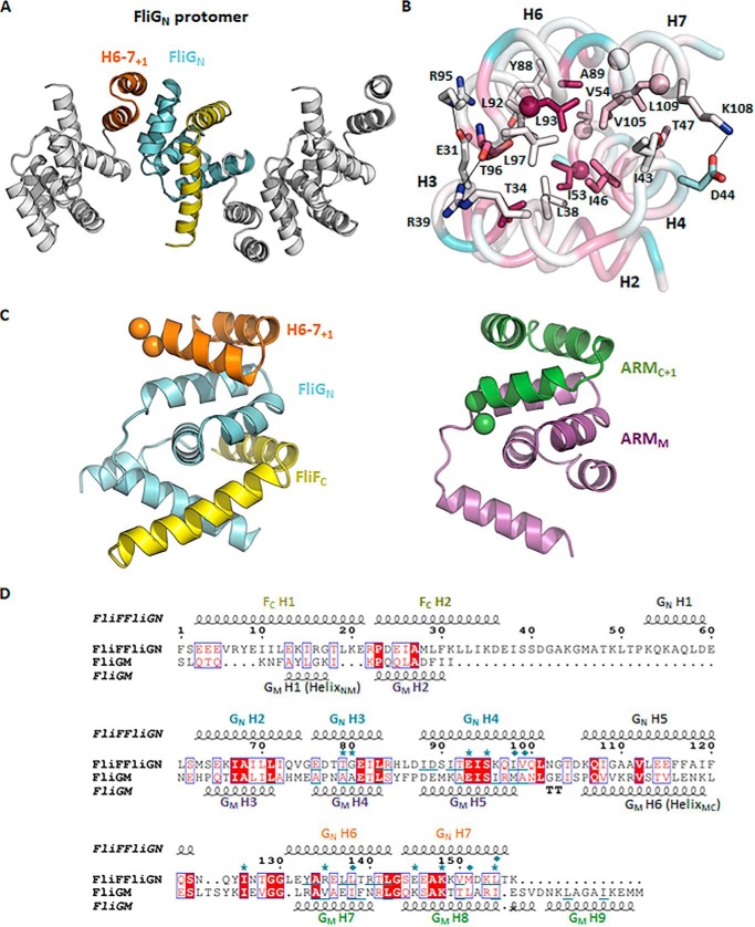 Figure 6.