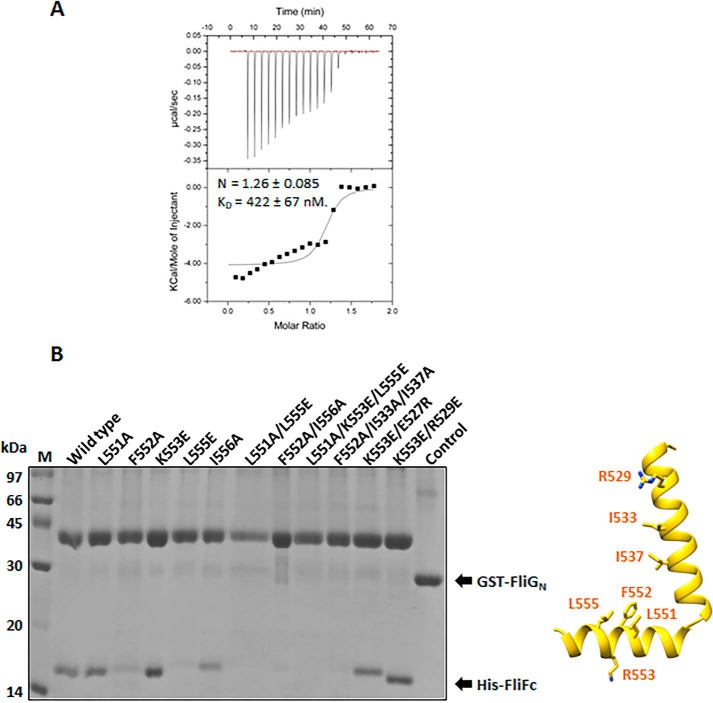 Figure 3.