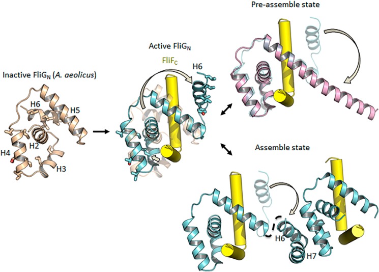 Figure 9.