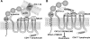 FIG. 7.