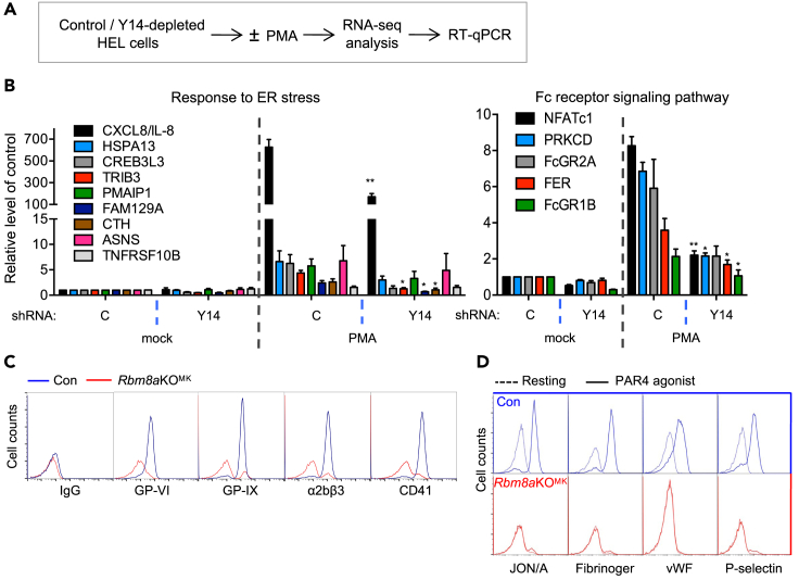 Figure 4