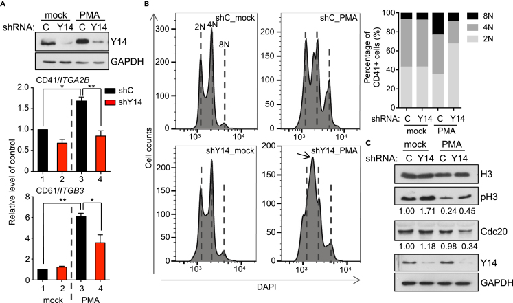 Figure 3