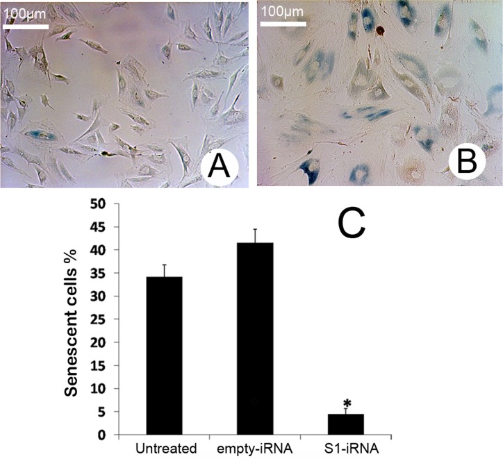 Fig 8