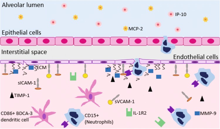 Figure 5