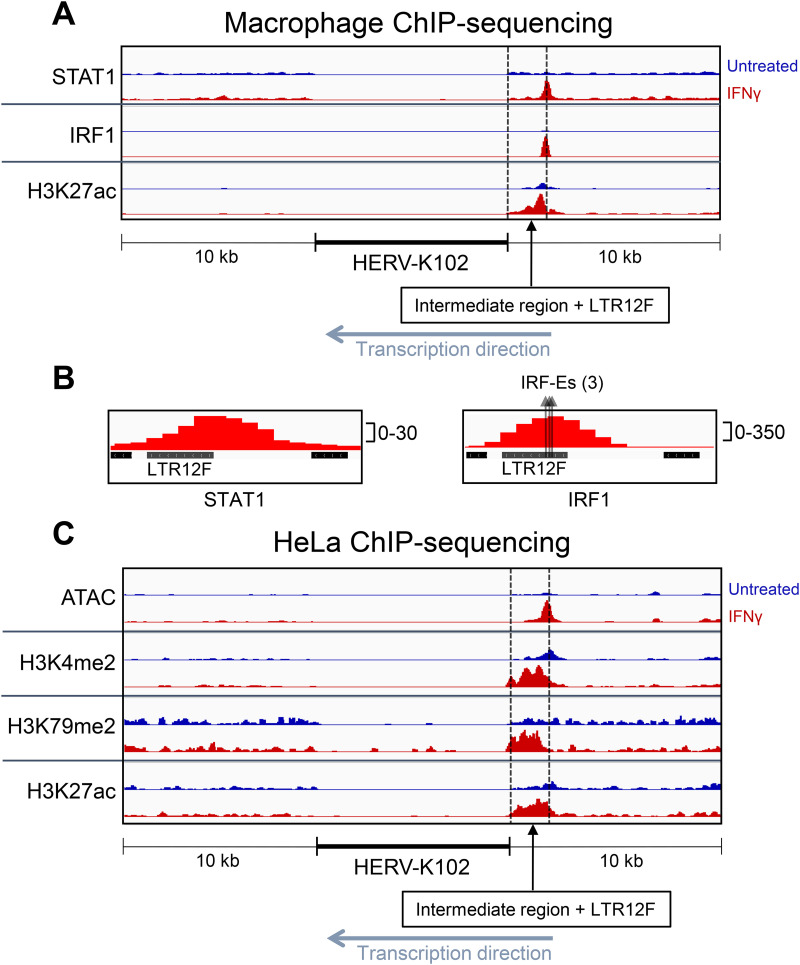 FIG 4