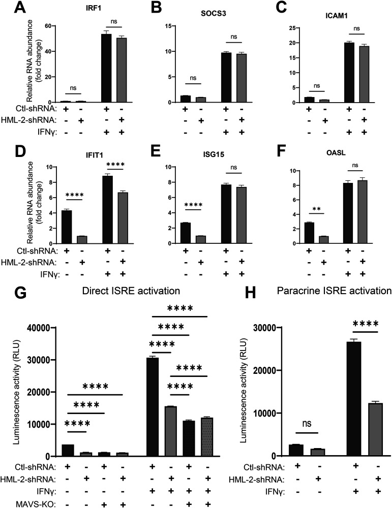 FIG 6