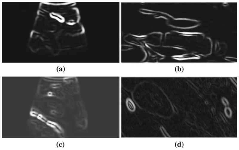 Fig. 13