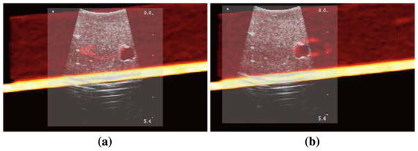 Fig. 10