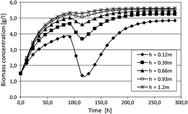 Fig. 10