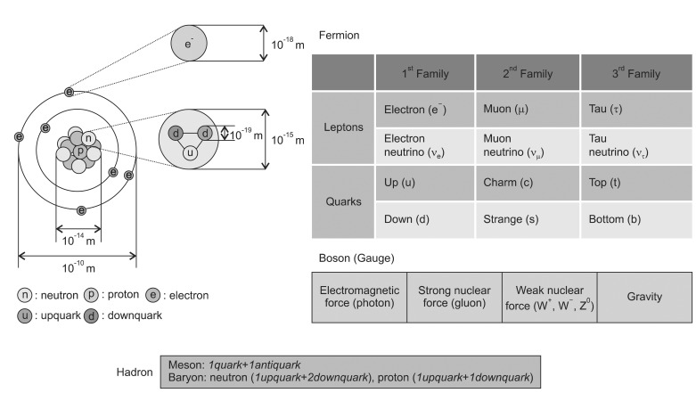 Fig. 1