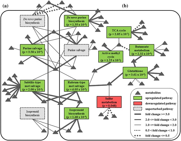 Fig. 4