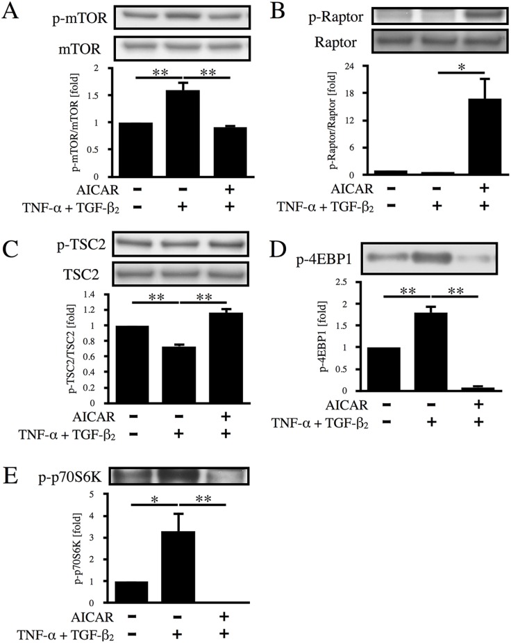 Fig 7