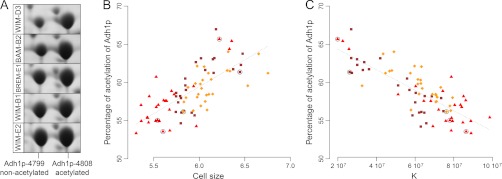 Fig. 6.