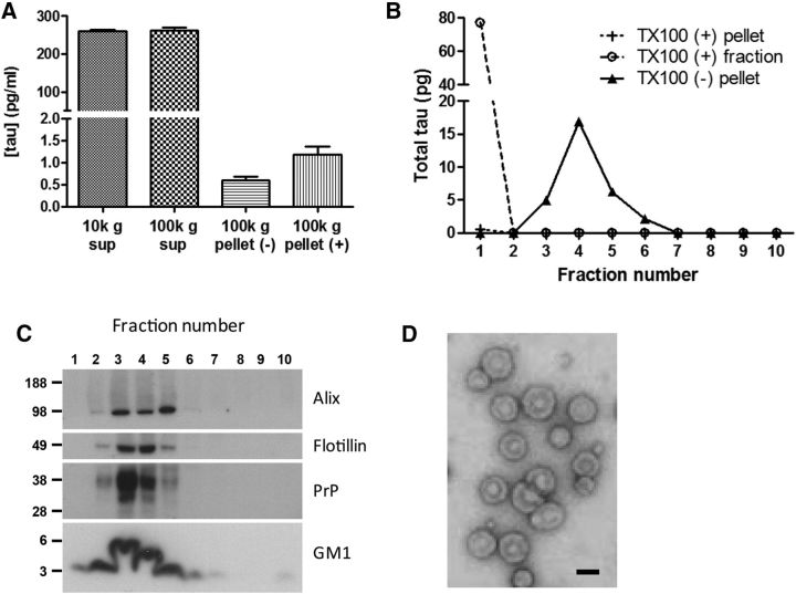 Figure 5.