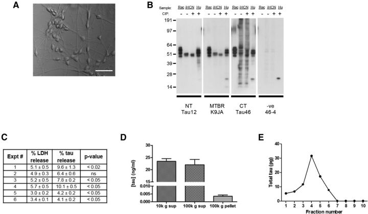 Figure 6.