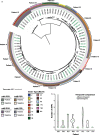 FIG 2