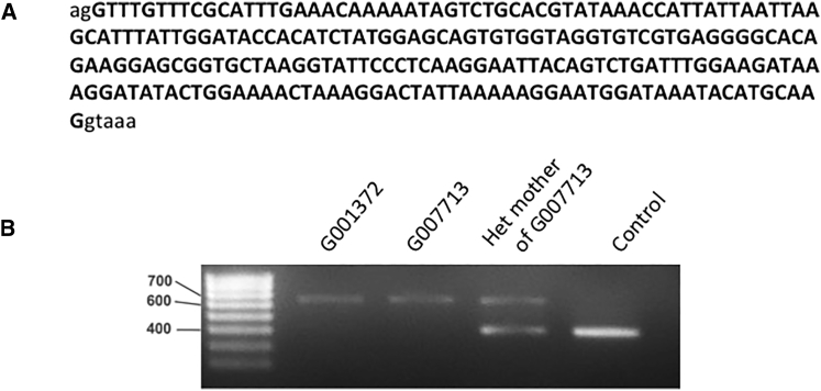 Figure 6