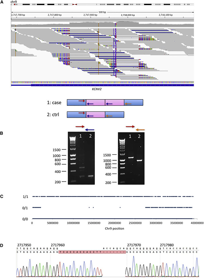 Figure 2