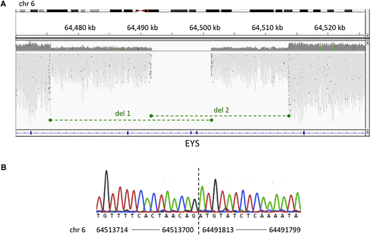 Figure 3