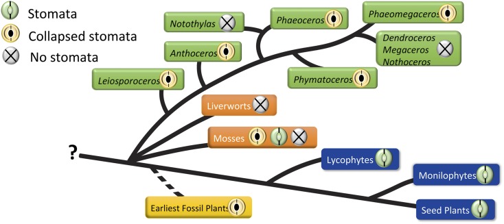 Figure 7.