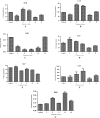 Fig. 3