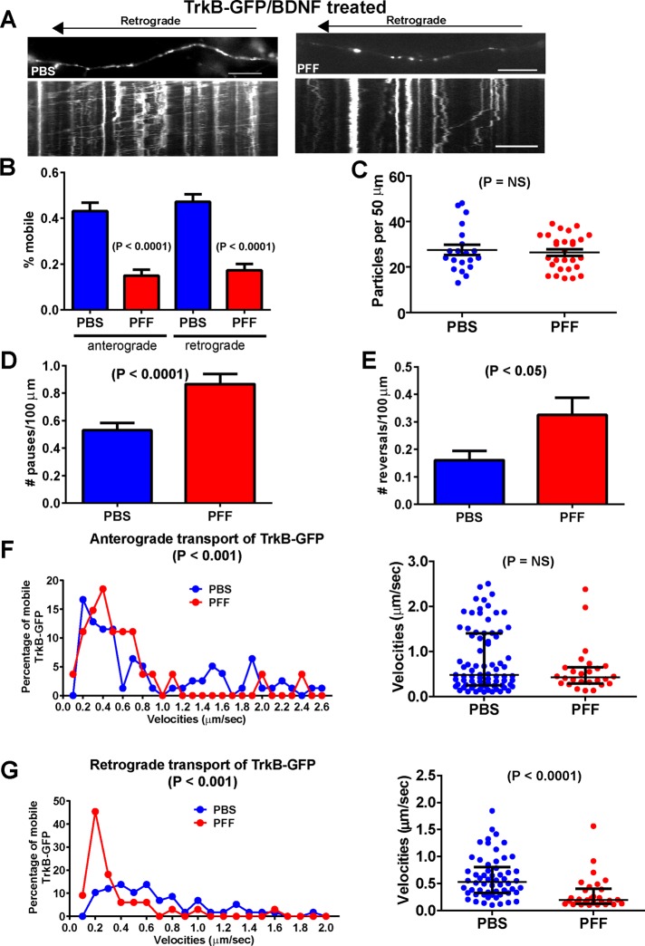 FIGURE 6: