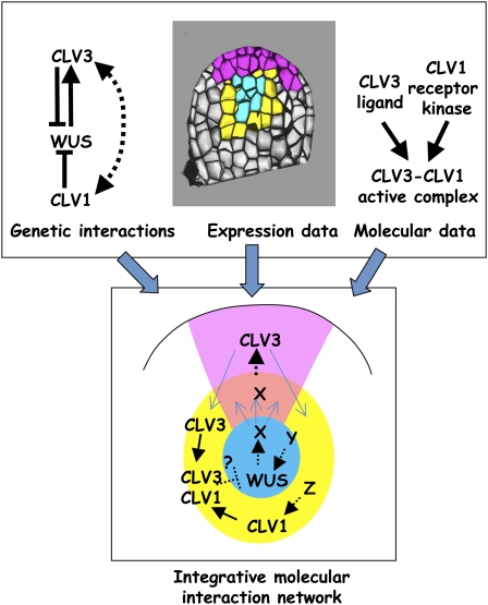 Figure 1.