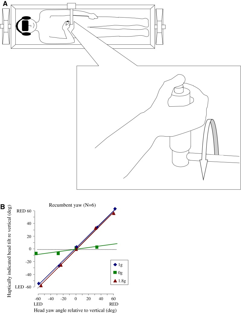 Fig. 5