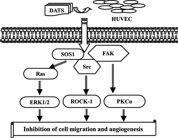 Fig 8