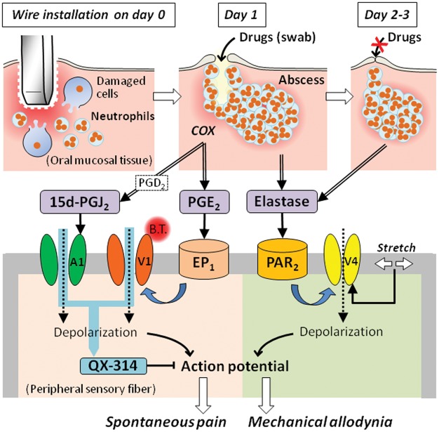 Figure 6.