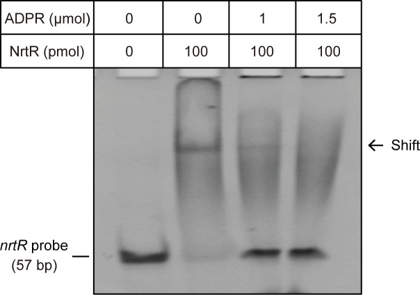 Figure 3—figure supplement 5.