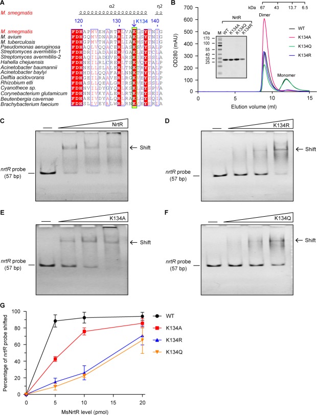 Figure 5—figure supplement 1.