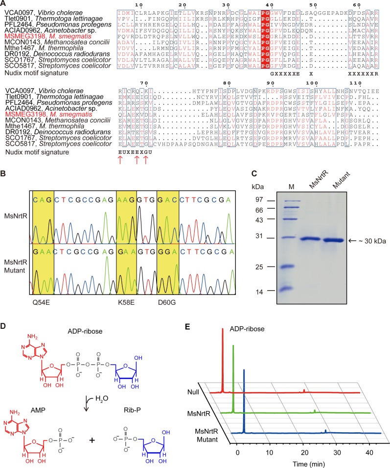 Figure 3—figure supplement 4.