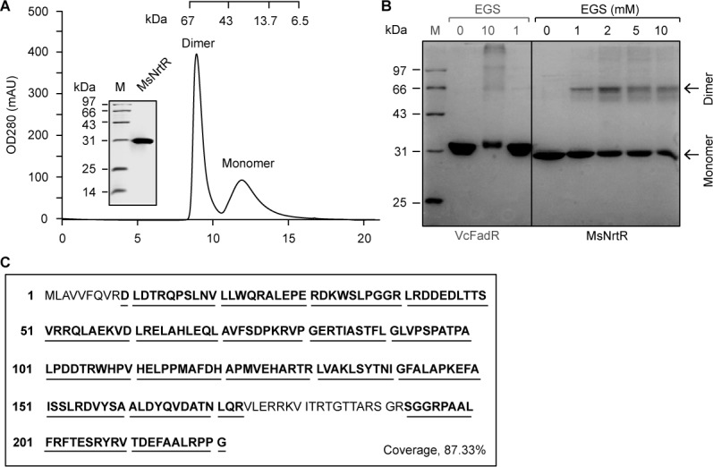 Figure 3—figure supplement 1.