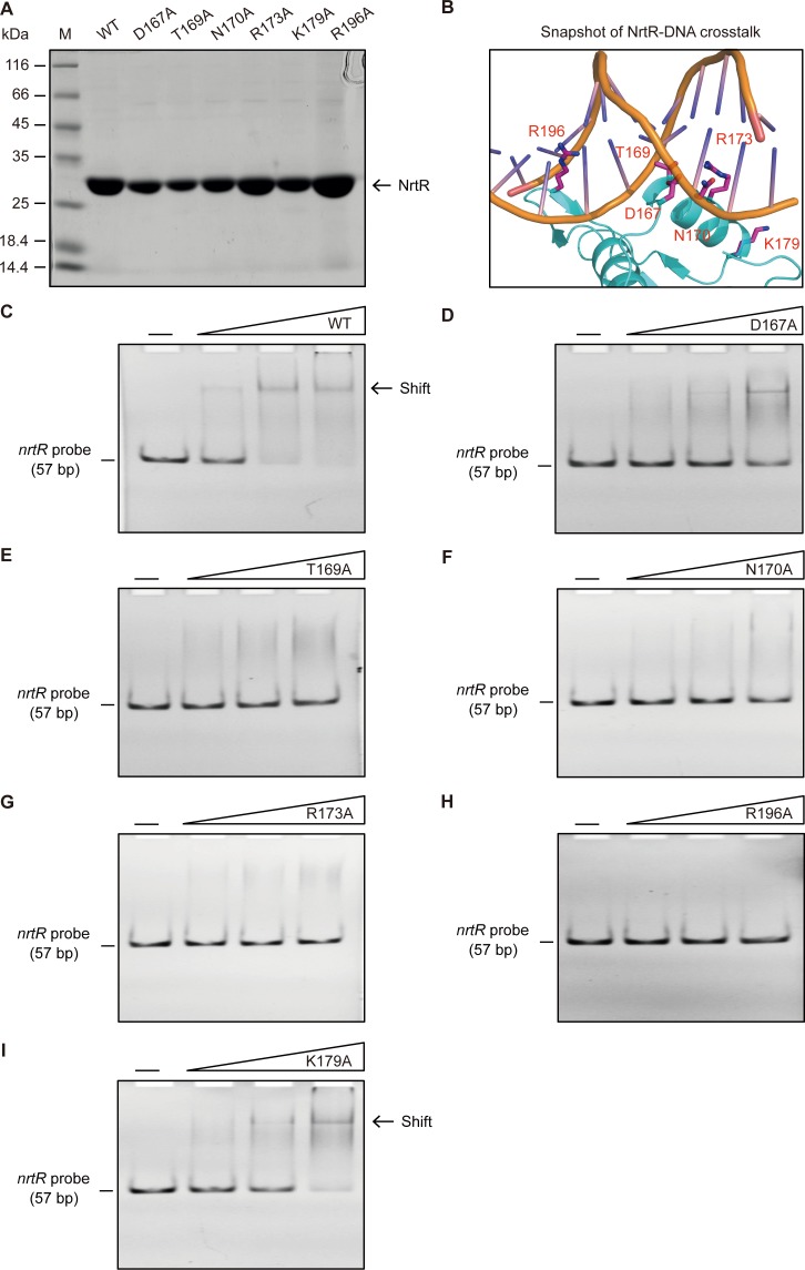 Figure 3—figure supplement 3.