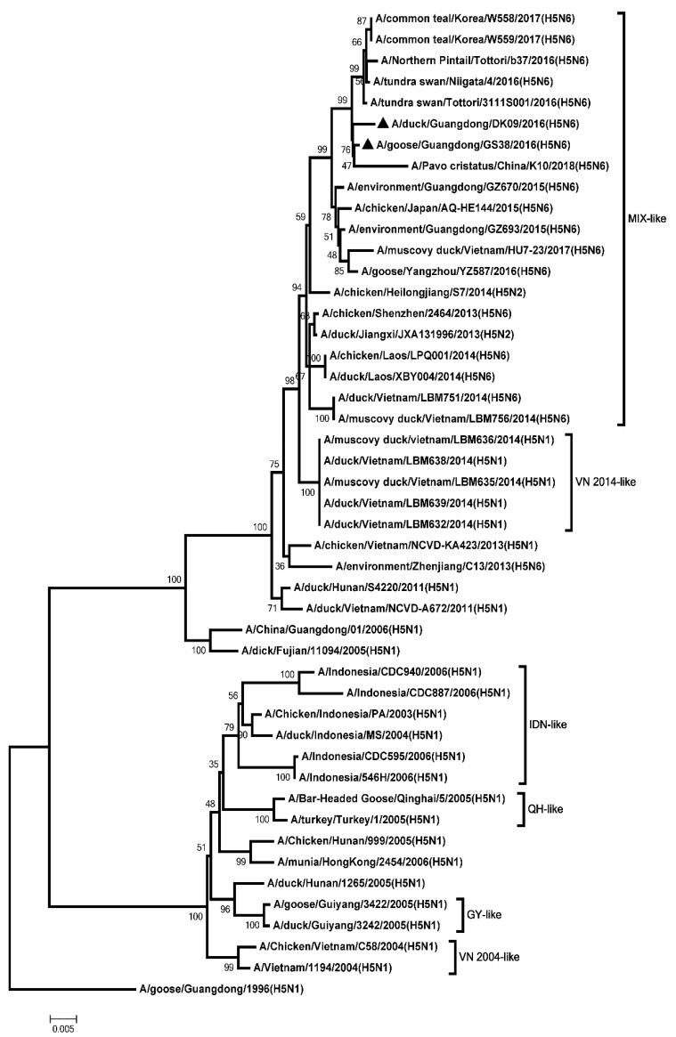 Figure 5