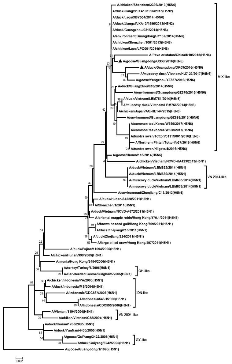 Figure 7