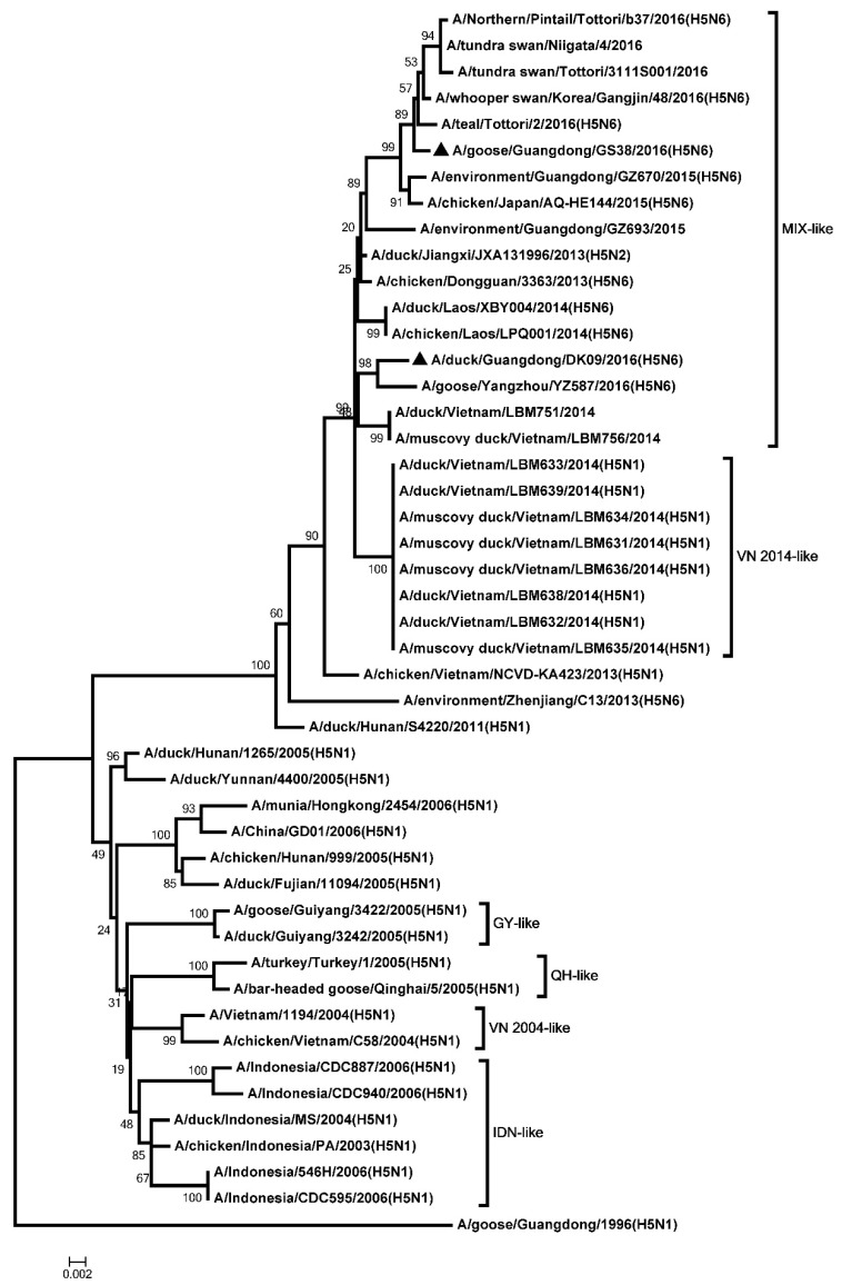 Figure 6