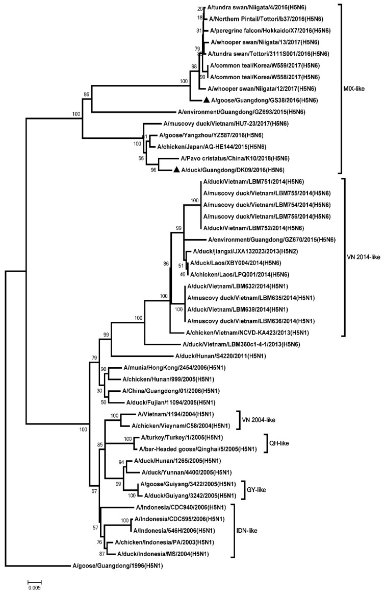 Figure 4