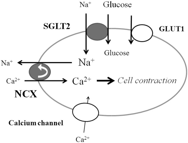 Fig 9