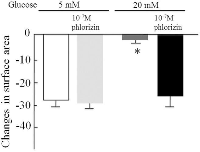 Fig 8