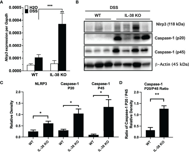 Figure 4