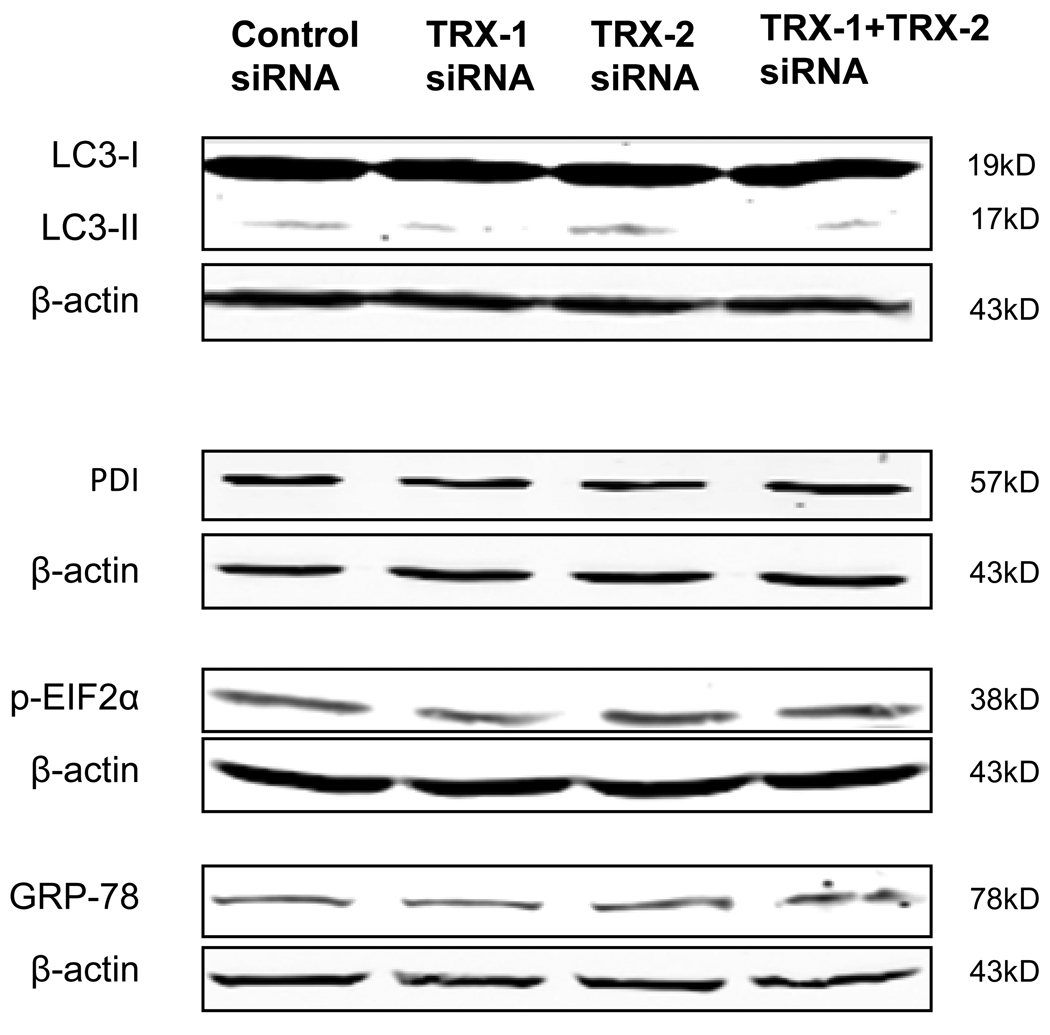 Fig. 11