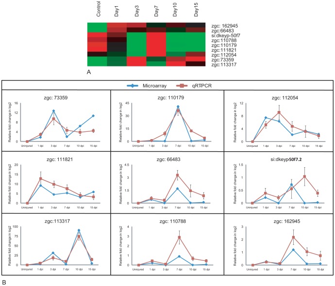 Figure 10