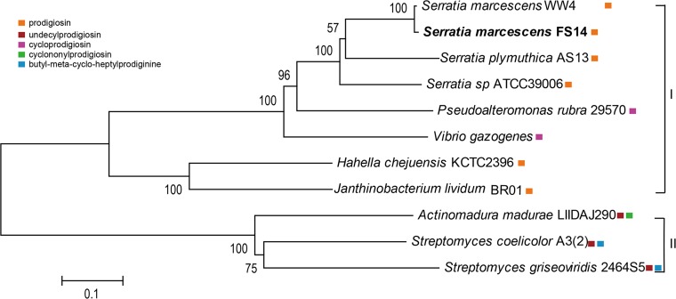 Fig 6