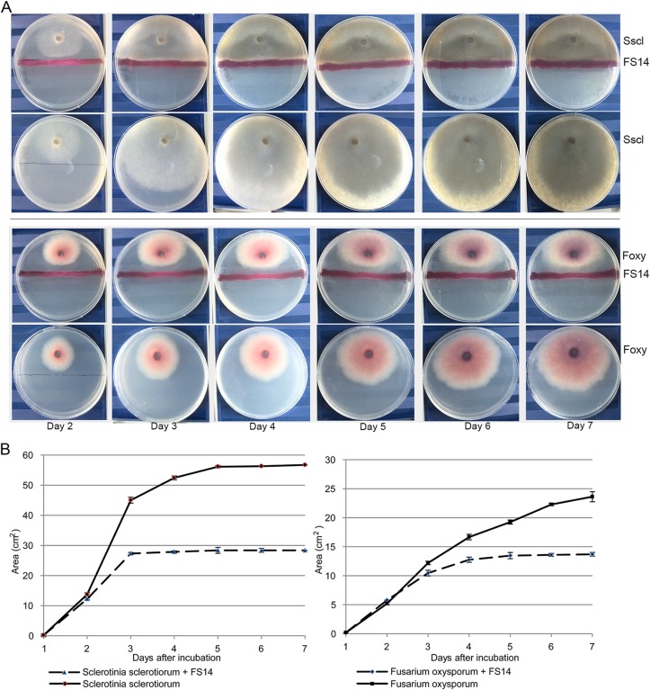 Fig 3